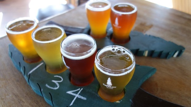 Nova Scotia craft beer producers say co-operation, not competition, key to success